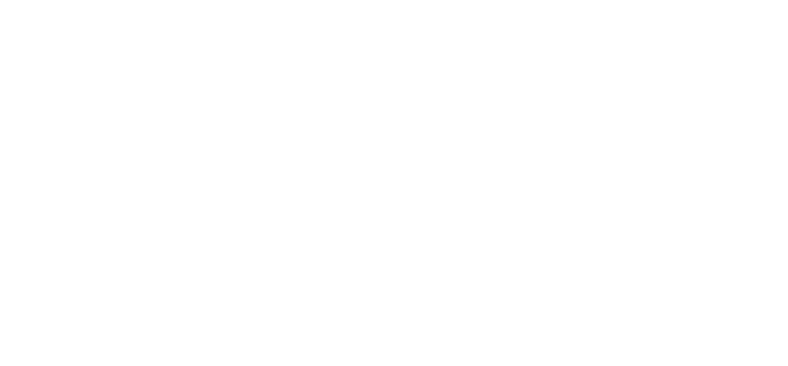 MSX International